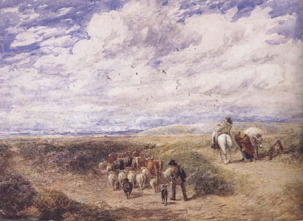 David Cox Keep the Left Road (mk47)